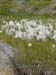 12dsc00047r.jpg