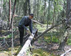 Der Floßbau beginnt am Yukon 